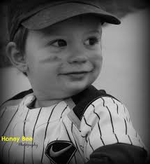 Honey Bee Photography