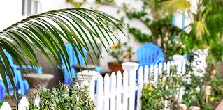 Citrus trees should be given an additional application in the for best results, fertilize with additional chemical or organic citrus fertilizer along with the application of black kow®. Best Fertilizers For Tropical Fruits Flowers Palms Living Color