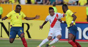 Jornada 4 de las copa américa brasil 2021 con el juego entre: Peru Vs Ecuador Los Ultimos Rendimientos En Altura Que Se Deben Mejorar Para Ganar En Quito Analisis Seleccion Peruana Eliminatorias 2022 Gianluca Lapadula Ricardo Gareca Ecuador Vs