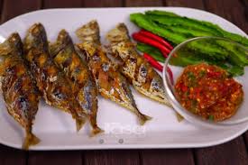 Tapi waktu terbaik untuk mendapatkan udang galah adalah pada musim kering (tiada hujan sebelumnya). Fasha Sandha Masak Lauk Kegemaran Mama Masak Lemak Udang Galah