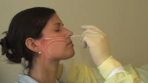 Maybe you would like to learn more about one of these? Covid 19 Doctor Explains How The Nasal Swab Procedure Works Kob 4