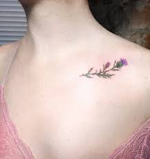 Bite That Tattoo On Your Shoulder Meaning Image Result For Thistle Tattoo Thistle Tattoo Scottish Tattoos Tattoos