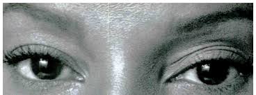 Meu Maia Pagando Boquete - Intimate Angles - Porn Pictures