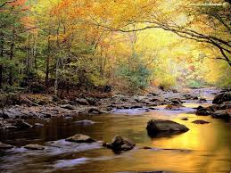 Risultati immagini per torrente d'acqua