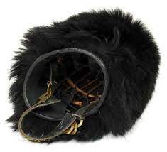 The Royal Guard At Buckingham Palace