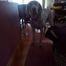 Khloé kardashian has named her camel toe (you're welcome). Captain Camel Toe Camelcaptain Twitter