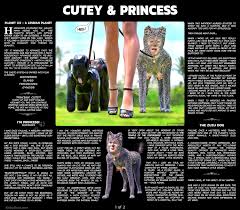 Rule34 - If it exists, there is porn of it   4354134