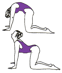 The sanskrit name of the cat pose, marjaiasana, comes from marjay meaning cat and asana meaning posture. Cat Cow Kundalini Yoga Back Pain Relief