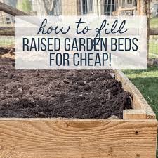 Mushrooms in the garden beds. How To Fill A Raised Garden Bed And Save On Soil Twelve On Main