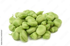 Image result for Vicia faba