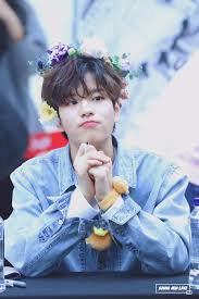 Image result for stray kids flower crown