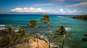 Napili Surf Beach Resort: West Maui Resort