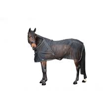 Über welltex über iontex über cool on track. Back On Track Cooler Decke Sienna Transportdecke Schwarz Pferdesport Profi De Reitsport Pferdesport Fahrsport Und Springsport Cavalettis Und Reitsport Zubehor Vom Profi