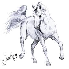 Kak Risovat Loshad Karandashom 20 Poetapnyh Urokov Fantasy Horses Drawings Horses