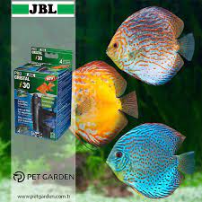 jbl pc i30 ic filtre kucuk akvaryumlarda kristal berrakliginda ve oksijenden yana zengin bir su icin temizlenmesi cabuk ve basittir ka balik karides akvaryum