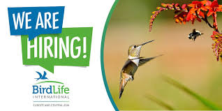 If you find feathers in nature, please appreciate, study, photograph them, and leave them where you found them. Birdlife Europe Central Asia On Twitter We Re Hiring A Project Coordinator To Implement The Lifeprogramme Against Bird Crime Project This Project Builds On Recent Progress In Addressing Illegal Killing Taking