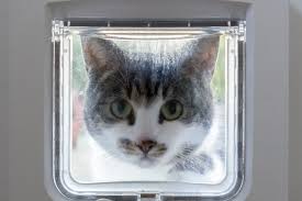 The sureflap pet door provides two options for your pet to be recognized. The Best Microchip Cat Flaps Pet Toy Uk 2021