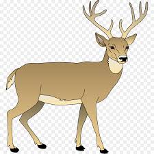 Check spelling or type a new query. Animal Cartoon