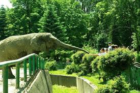 Katowickie zoo zostało udostępnione zwiedzającym w roku 1950. Ogrody Zoologiczne W Polsce Gdzie Warto Isc Do Zoo W Polsce