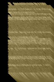 Image result for Argyrolobium vaginiferum