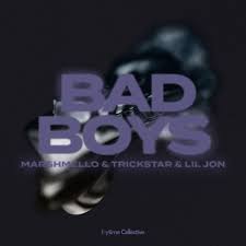 Bad Boys - song and lyrics by Marshmello, TRICKSTAR, Lil Jon | Spotify