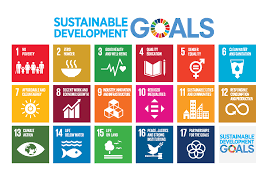 It's best to only pick one or two changes to make at a time. How To Teach Kids About Sustainable Development Goals