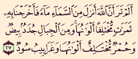 القرآن الكريم