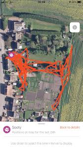 The only tracking device designed exclusively for cats, by cat lovers! We Put A Gps Tracker On My Cat And He Drew A Cat For Us Cats