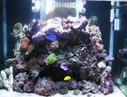 Children spend the majority of their time pretending, and fake rocks can add a touch of realism to their play. Creating Your Own Live Rock For Saltwater Tanks