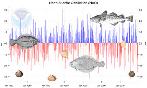 Northeast Habitat Ecology Research Noaa Fisheries