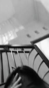 Cek pakai color bar : 38 Girlfriend Ideas In 2021 Fesyen Wanita Fotografi Alam Semula Jadi Haiwan Lucu