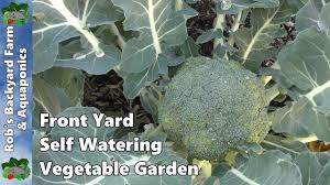 What to do & when to do it in the garden, orchard, barn, pasture & equipment shed. Front Yard Self Watering Vegetable Garden Fruit Trees Youtube