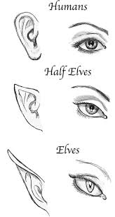 Half Elf Rareflowers Elf Drawings Anime Drawings Tutorials Anime Drawings Sketches