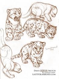 The Last Of The Polar Bears Snow Leopard Animal Drawings Sketches Animal Sketches Animal Drawings