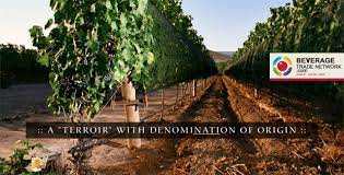 Btn Guide On Wine Importers