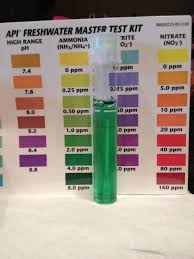 In healthy individuals, ammonia levels in the bloodstream stay between 10 and 40 µmol/l. Help Tap Water Ammonia Level So High Even With Prime My Aquarium Club