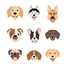 Flat Style Dog Head Icons Cartoon Dogs Faces Set Vector Illustration Isolated On White Art Print Dar Ria Art Com In 2021 Dog Design Art Dog Face Drawing Dog Illustration