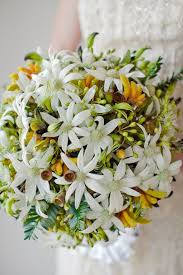 Gallery Inspiration Picture 578687 Style Me Pretty Wildflower Bridal Bouquets Flannel Flower Australian Wildflowers