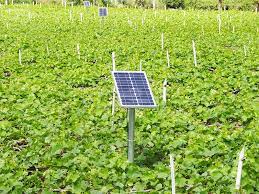 Nông nghiệp thông minh | Eplusi Technology