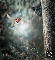 Check spelling or type a new query. Php Importphp Background Hd Images For Photoshop Editing New Us Us 2