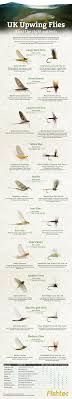 Fly Fishing Infographic Upwing Flies Uk Pesca Pinterest