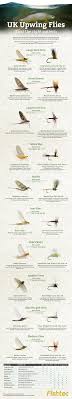 fly fishing infographic upwing flies uk pesca pinterest