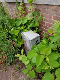 We did not find results for: Duizend En Een Knopen Natuur Milieuteam Zuid Natuur Milieuteam Zuid