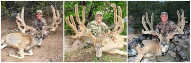 Randy Ulmer Tags 5, 000 Inches of Mule Deer With