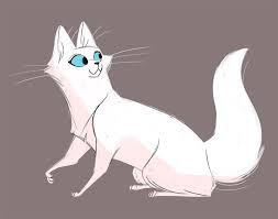 To do this, apply small rapid strokes of a pencil on our. 54 Turkish Angoras Ideas Turkish Angora Cat Angora Cats Turkish Angora