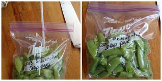 The latest round of picking yielded around 5 gallons of peas in the pod. How To Freeze Snap Peas Without Blanching An Oregon Cottage