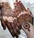 Bridal Half Hand Mehndi Design