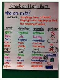 text structure latin roots subject and predicate review