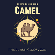 A pisces will be hurt when plans get canceled because the. Primal Astrology Spirit Of The Camel
