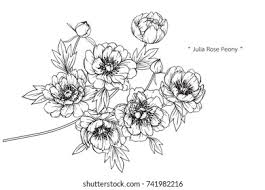 Shop julia rose society6 store featuring unique designs on various products across wall art, tech accessories, apparels, home decor and other unique lifestyle goods. Peony Julia Rose Flowers Drawing Lineart Stock Vector Royalty Free 741982216